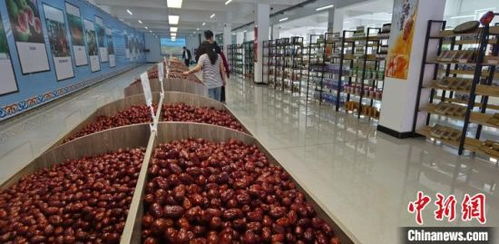 京津冀聯接東北地區規模最大農產品冷鏈物流產業園開園 打通國際物流新通道