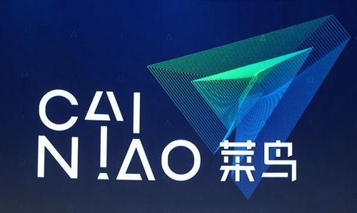 小商品出海自由行 菜鳥國際開通泰國海運電商專線，重塑國際物流新格局